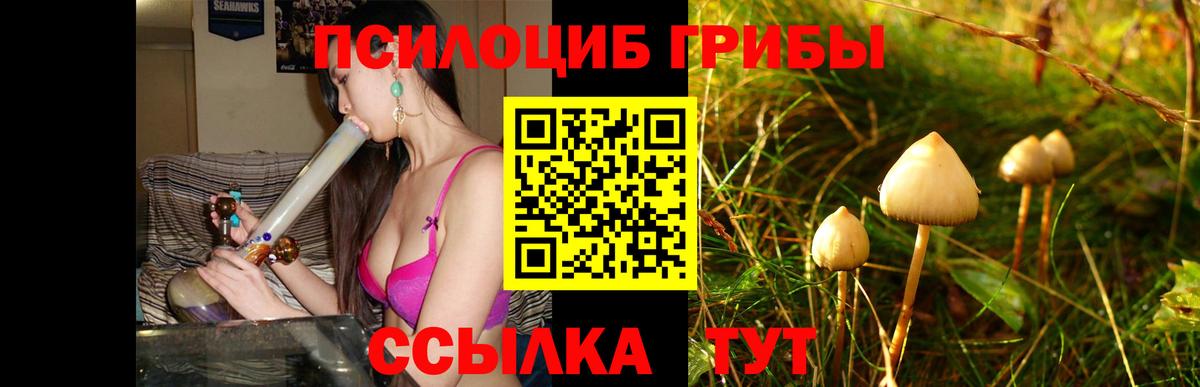 Псилоцибиновые грибы Cubensis  где можно купить наркотик  Северск  Галлюциногенные грибы Magic Shrooms  Вход с VPN 