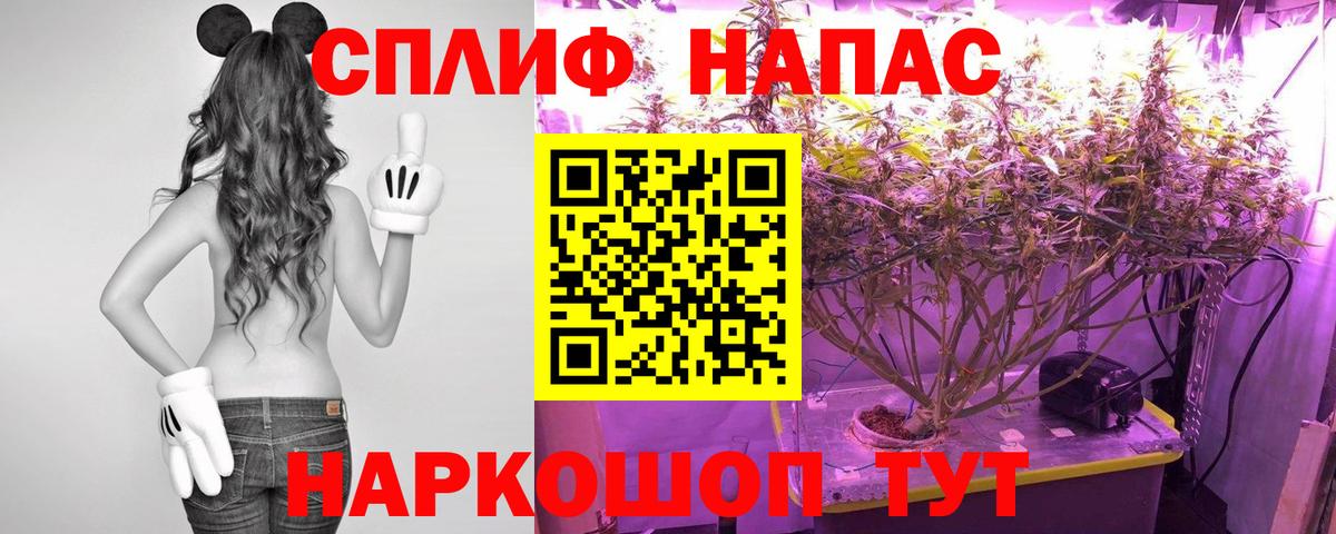 Северск  Бошки марихуана MAZAR  Бошки марихуана Bruce Banner  Вход с VPN 